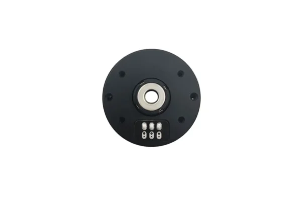 Direct rear view of the brushless motor showing peripheral mounting holes and center rotor.
