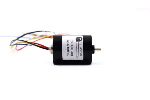 tsl bldc 2838 low voltage brushless dc motor full view Full perspective studio shot of the TSL-BLDC-2838 low voltage brushless DC motor with extended ribbon cables