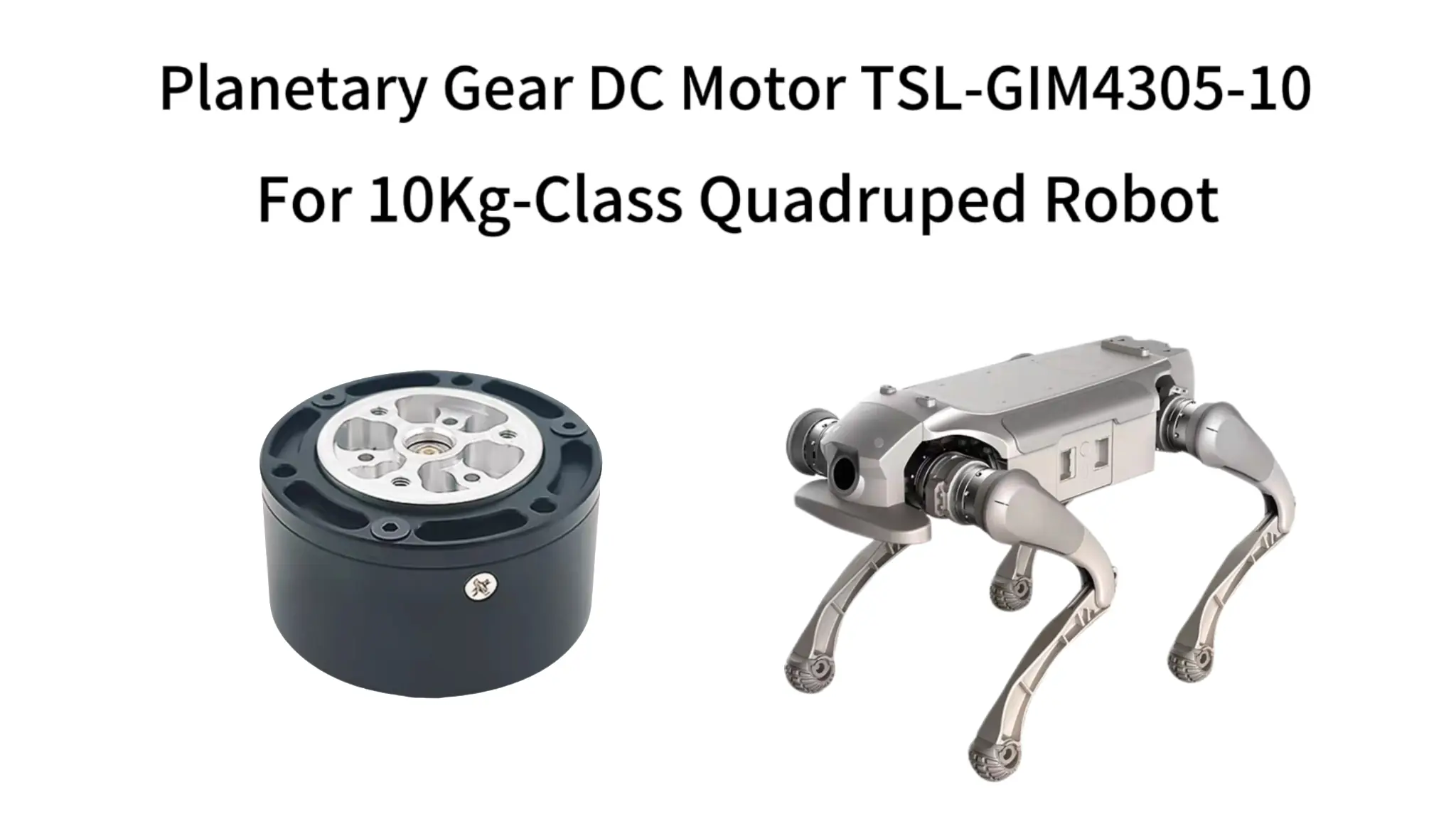 TSL-GIM4305-10 integrated planetary gear DC motor alongside a 10kg-class quadruped robot to demonstrate leg joint application