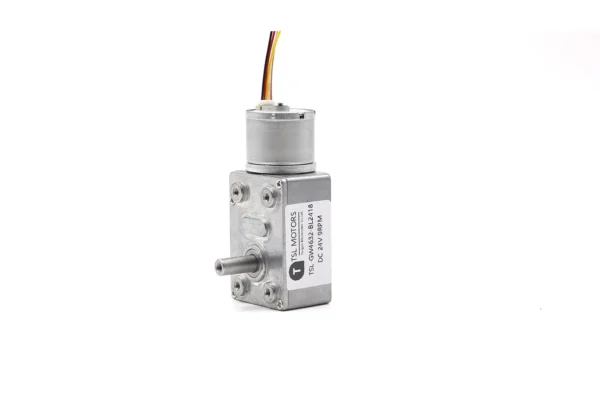 Specification sticker on the TSL-GW4632-BL2418 worm gear electric motor showing 24V 9RPM rating