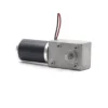 high torque worm gear motor tsl 5882gw 50zy front TSL-5882GW-50ZY high torque worm gear DC motor with single output shaft