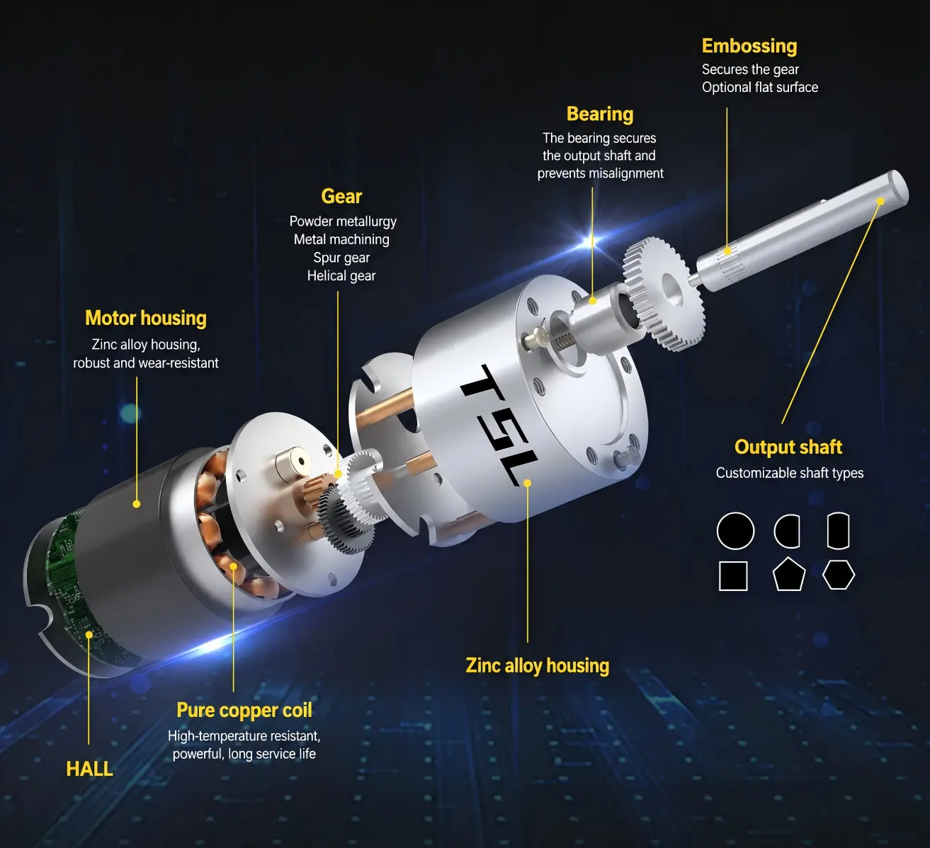 internal structure exploded view eccentric brushless dc gear motor 3D exploded internal view of a premium eccentric shaft brushless DC gear motor with gear train details