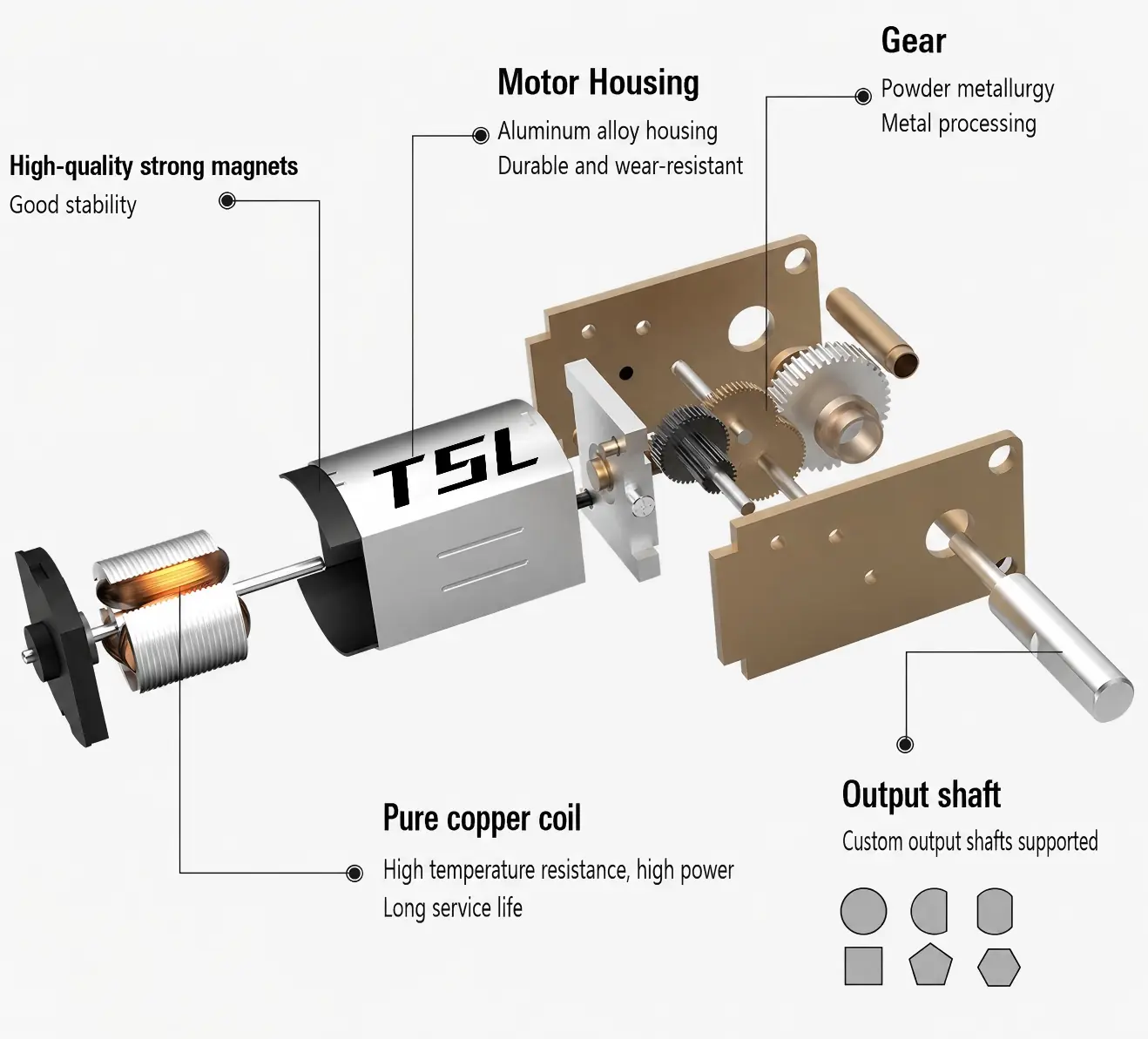 Exploded view diagram of TSL-1218GW-N20-D motor showing internal copper coil and magnets