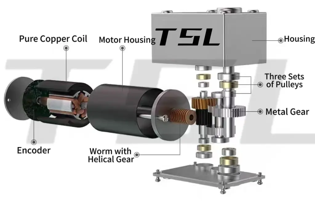 tsl 5882gw 50zy worm gear motor exploded view Exploded view of TSL-5882GW-50ZY motor showing internal copper coil and metal gears