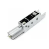 36mm brushed DC worm gear window opener motor model TSL-123JS-555.