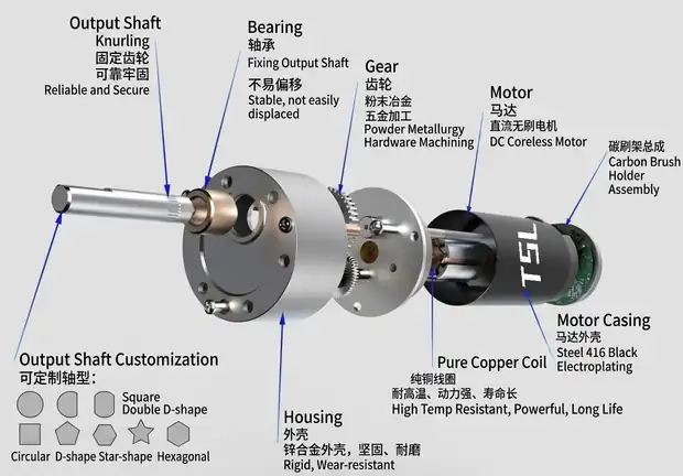 Detailed exploded view of a spur gear motor assembly with component labels