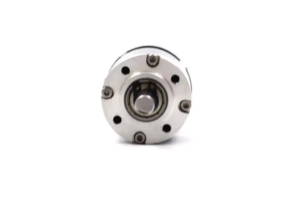 Front flange and output shaft of TSL-28GAY-385 24V DC planetary gear motor